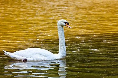 肉鸽采矿动作游戏《穹顶守护者》发布重大更新，规模空前！